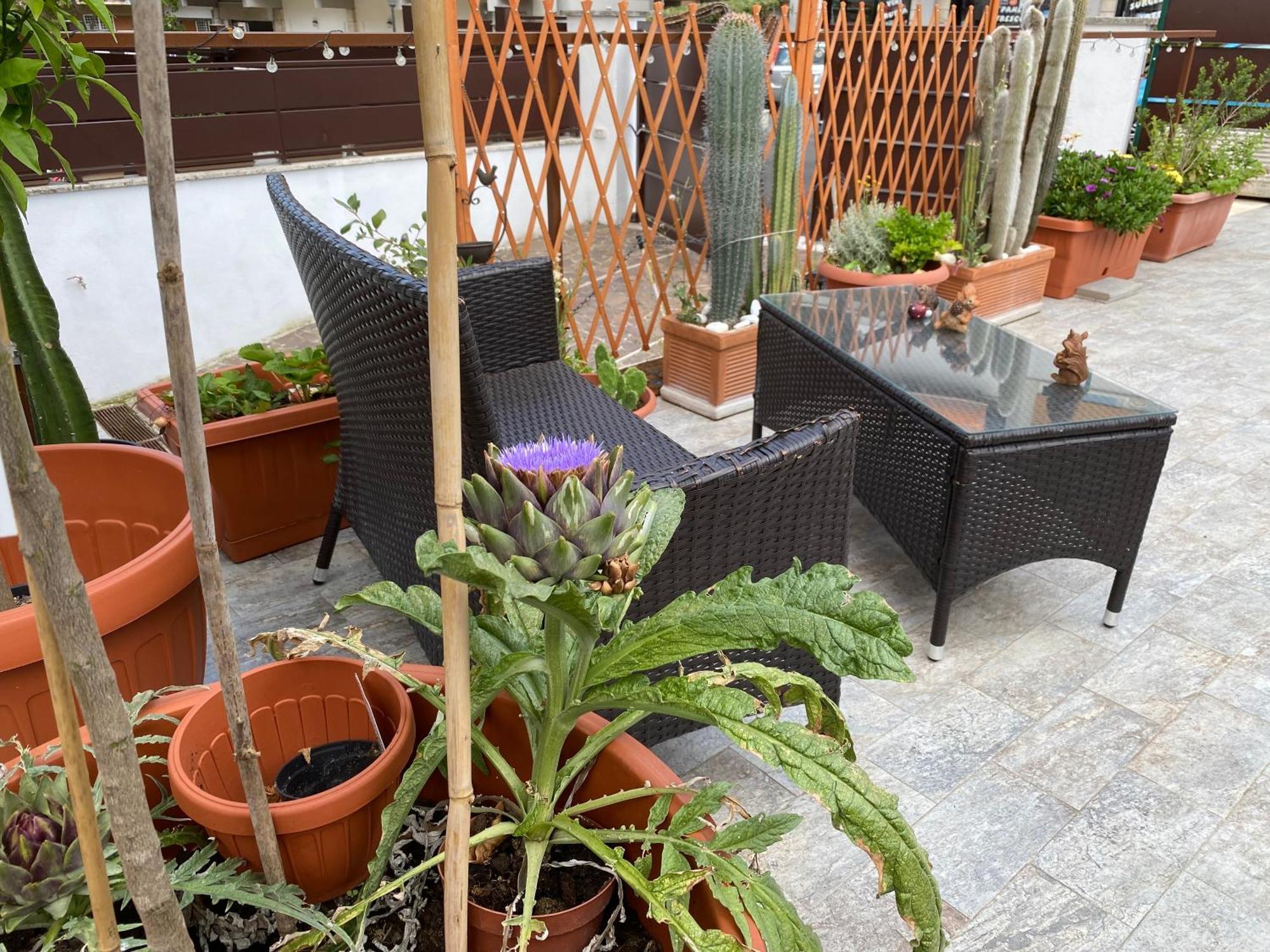 Officinale Rome Apartment, Pineta Sacchetti Eksteriør billede